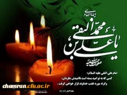 سالروز شهادت حضرت امام هادی ( علیه السلام ) بر محبین ودوستداران آنحضرت تسلیت باد.