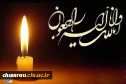 همکار گرانقدر جناب آقای شاهین شاگردیان 2