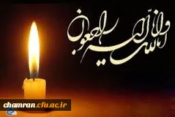 همکار گرانقدر جناب آقای شاهین شاگردیان 2