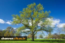 یا مقلب القلوب و الابصار یا مدبرالیل و النهار
یا محول الحول و الاحوال حول حالنا الی احسن الحال 2