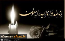 انا و انا الیه راجعون 
جناب آقای دکتر علیرضا حسینی ، استاد محترم گروه ادبیات عرب پردیس شهید مفتح 
 2