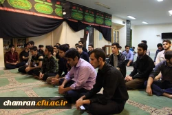 نشست صمیمی مسئولان و دانشجویان پردیس شهید چمران 5