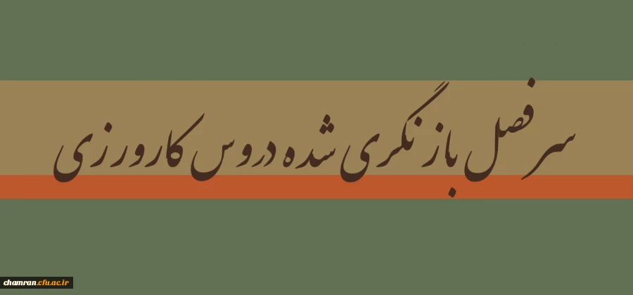 سرفصل بازنگری شده دروس کارورزی 2