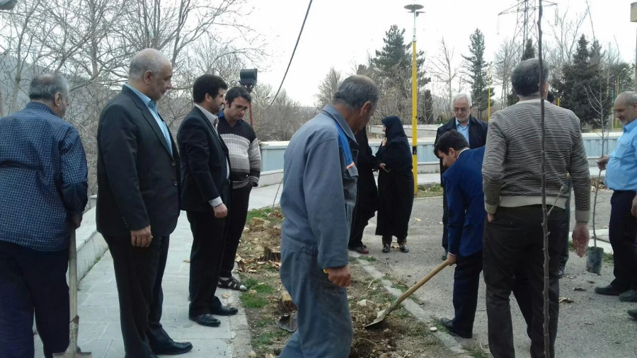 کاشت نهال به مناسبت روز درختکاری در پردیس شهید چمران 6