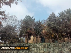 پاییز زیبا در پردیس شهید چمران 8