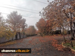 پاییز زیبا در پردیس شهید چمران 9