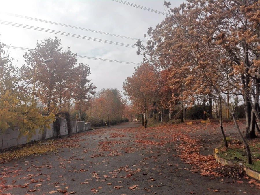 پاییز زیبا در پردیس شهید چمران 9