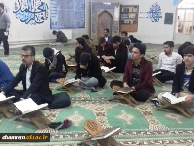 شرکت دانشجویان در بیست و نهمین جشنواره قرآن و عترت