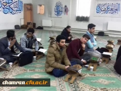 شرکت دانشجویان در بیست و نهمین جشنواره قرآن و عترت  4