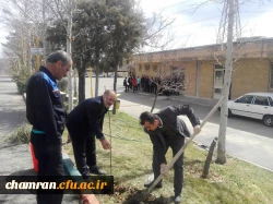 کاشت نهال در پردیس شهید چمران به مناسبت روز درختکاری 2