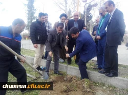 کاشت نهال در پردیس شهید چمران به مناسبت روز درختکاری 4