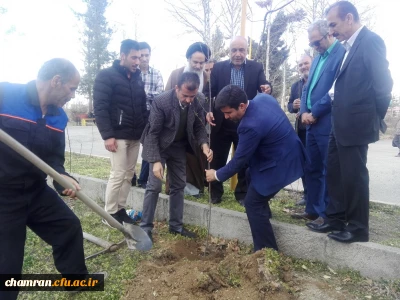 کاشت نهال در پردیس شهید چمران به مناسبت روز درختکاری