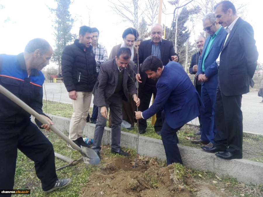 کاشت نهال در پردیس شهید چمران به مناسبت روز درختکاری 4