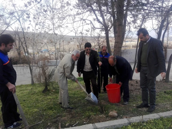 کاشت نهال در پردیس شهید چمران به مناسبت روز درختکاری 6