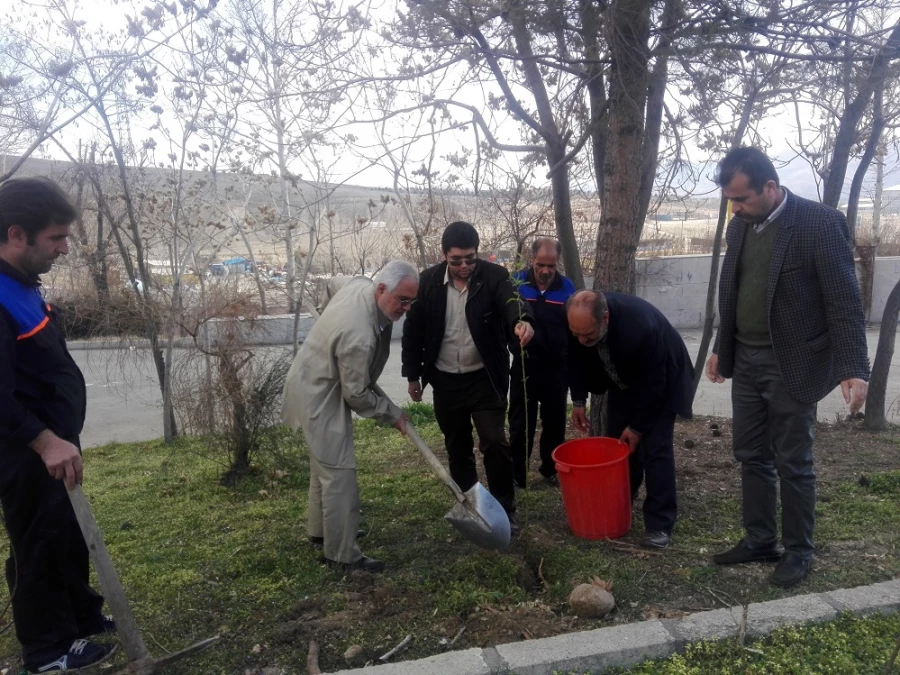 کاشت نهال در پردیس شهید چمران به مناسبت روز درختکاری 6