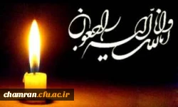 تسلیت مصیبت وارده به دانشجومعلم محترم آقای محمدرضا محمدیان 2