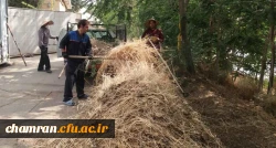 کوشش جمعی برای بهسازی فضای سبز پردیس شهید چمران 2
