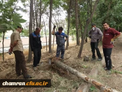 کوشش جمعی برای بهسازی فضای سبز پردیس شهید چمران 3