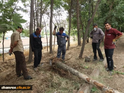 کوشش جمعی برای بهسازی فضای سبز پردیس شهید چمران