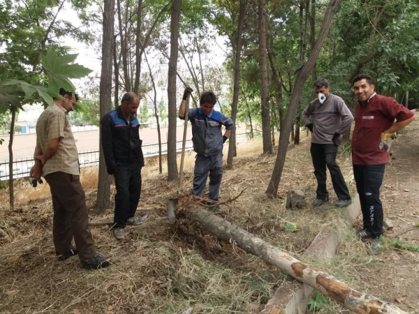 کوشش جمعی برای بهسازی فضای سبز پردیس شهید چمران 3