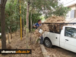 کوشش جمعی برای بهسازی فضای سبز پردیس شهید چمران 4