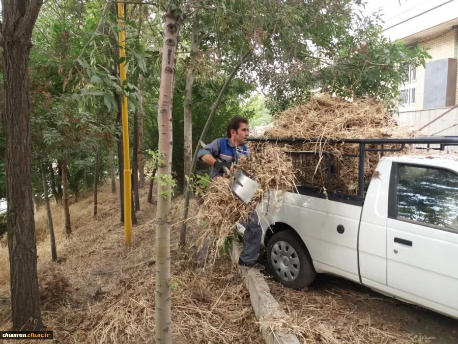 کوشش جمعی برای بهسازی فضای سبز پردیس شهید چمران 4