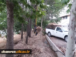 کوشش جمعی برای بهسازی فضای سبز پردیس شهید چمران 5