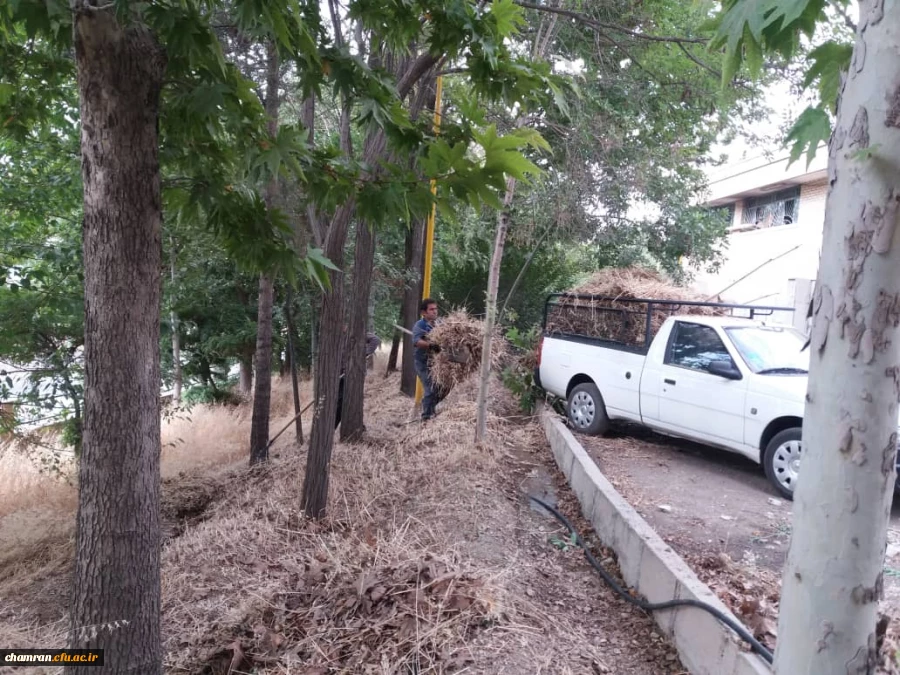 کوشش جمعی برای بهسازی فضای سبز پردیس شهید چمران 5