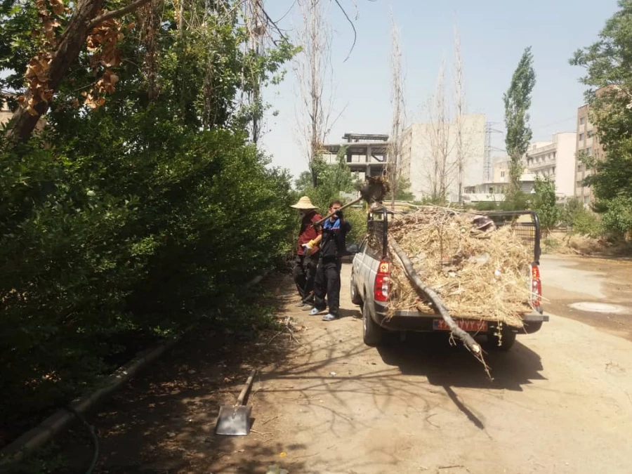 کوشش جمعی برای بهسازی فضای سبز پردیس شهید چمران 6