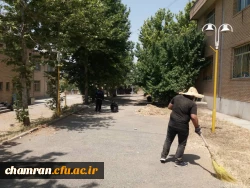کوشش جمعی برای بهسازی فضای سبز پردیس شهید چمران 7