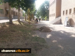 کوشش جمعی برای بهسازی فضای سبز پردیس شهید چمران 8