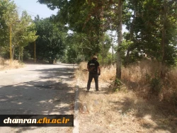 کوشش جمعی برای بهسازی فضای سبز پردیس شهید چمران 9