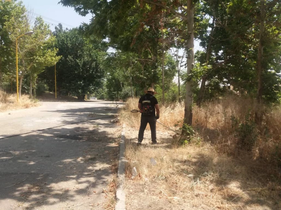 کوشش جمعی برای بهسازی فضای سبز پردیس شهید چمران 9