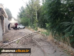 کوشش جمعی برای بهسازی فضای سبز پردیس شهید چمران 10
