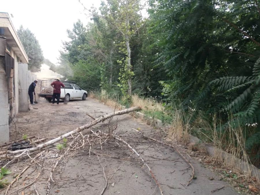 کوشش جمعی برای بهسازی فضای سبز پردیس شهید چمران 10