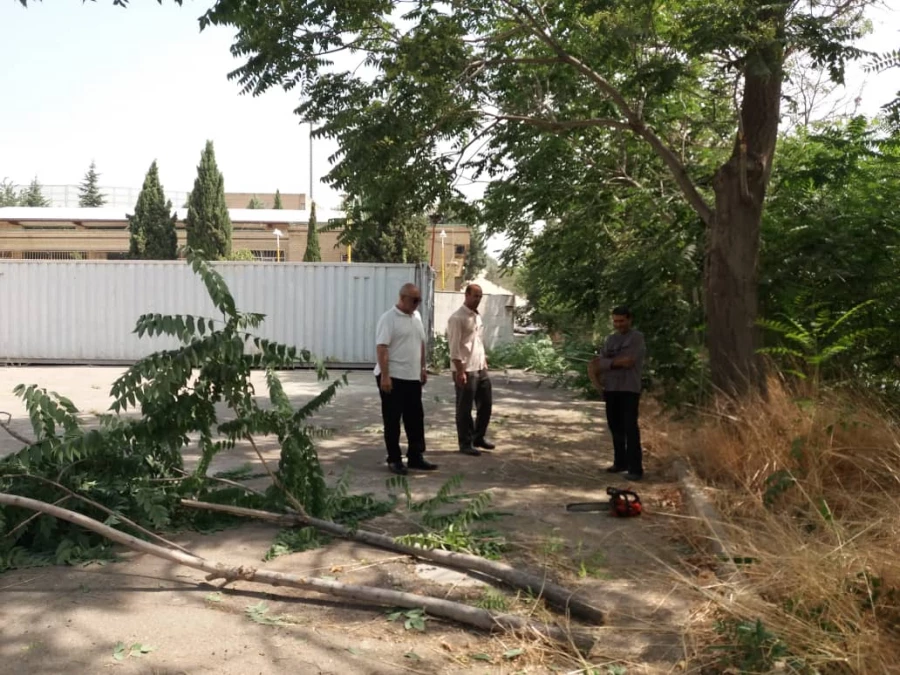 کوشش جمعی برای بهسازی فضای سبز پردیس شهید چمران 11