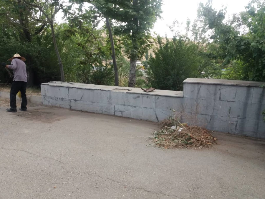 کوشش جمعی برای بهسازی فضای سبز پردیس شهید چمران 12