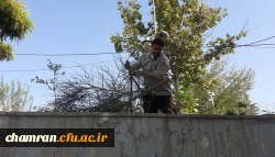 ادامه فرایند آماده سازی محیط پردیس شهید چمران برای سال تحصیلی جدید 2