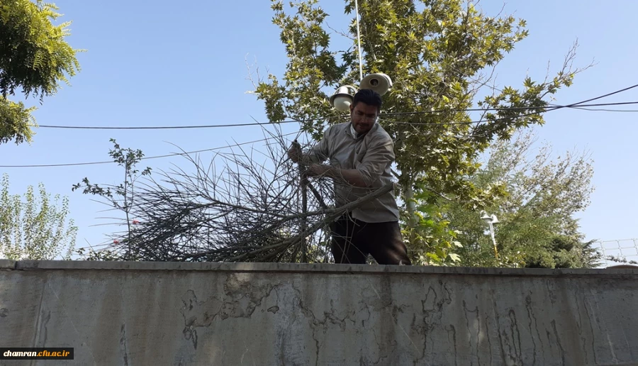 ادامه فرایند آماده سازی محیط پردیس شهید چمران برای سال تحصیلی جدید 2