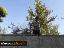 فعالیتهای ستاد استقبال از دانشجویان برای سال تحصیلی ۹۹-۹۸ 4