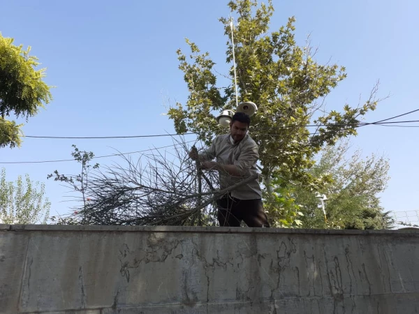 فعالیتهای ستاد استقبال از دانشجویان برای سال تحصیلی ۹۹-۹۸ 4