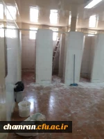 فعالیتهای ستاد استقبال از دانشجویان برای سال تحصیلی ۹۹-۹۸ 6