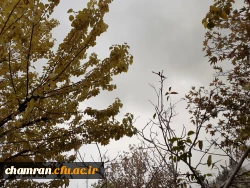 چشم انداز پاییز در فضای سبز پردیس شهید چمران 7