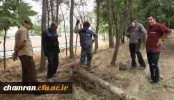 گزارش اهم فعالیتهای توسعه ای پردیس شهید چمران در هشت ماهه نخست سال 1398 12