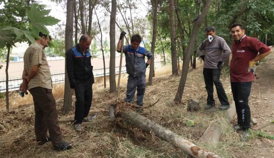 گزارش اهم فعالیتهای توسعه ای پردیس شهید چمران در هشت ماهه نخست سال 1398 12