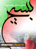 هفته بسیج گرامی باد 2