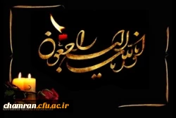 درگذشت همکار ارجمند مجموعه ورزشی شهید چمران آقای رحمان زاده 2