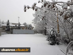 چشم انداز زمستان در پردیس شهید چمران 4