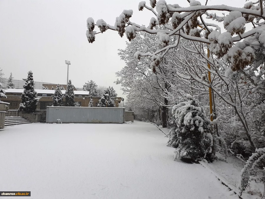 چشم انداز زمستان در پردیس شهید چمران 4