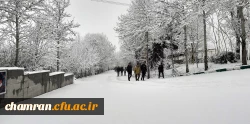 چشم انداز زمستان در پردیس شهید چمران 2
